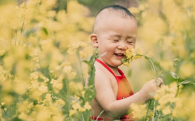 enfant dans un champ de fleurs